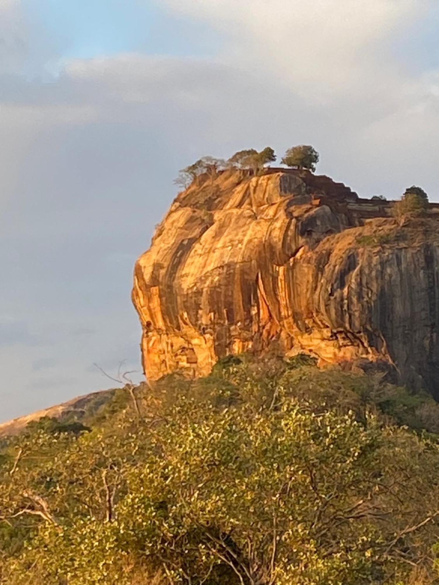 Reggae Paradise Hostel Sigiriya Exterior photo